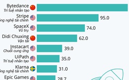 12 startup giá trị nhất thế giới, Mỹ chiếm quá nửa
