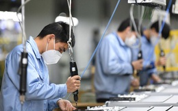 Vì sao mục tiêu 1 triệu doanh nghiệp năm 2020 thất bại?