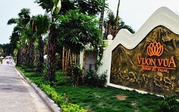 Ông chủ dự án Vườn Vua (TIG): Quý 1 lãi 30 tỷ đồng, cao gần gấp đôi cùng kỳ 2020