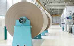 Doanh thu vượt mốc nghìn tỷ, Đông Hải Bến Tre (DHC) lãi tăng 138% trong quý 1