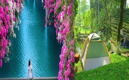 Chưa kịp đặt tour du lịch 30/4-1/5, bạn vẫn có thể trải qua kỳ nghỉ đáng nhớ với 4 địa điểm cắm trại vừa rộng vừa thoáng này: Cùng gia đình khám phá cuộc sống theo cách khác