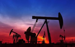 Giá dầu tăng, Lọc Hóa dầu Bình Sơn (BSR) lãi 1.856 tỷ đồng trong quý 1, vượt 113% kế hoạch cả năm 2021