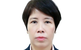 Chân dung tân nữ Thứ trưởng sinh năm 1971 của Bộ Kế hoạch và Đầu tư