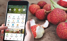 Hải Dương bán nông sản trên chợ online Alibaba, Lazada, Sendo