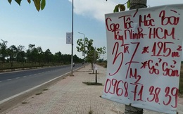 Chỉ cách TPHCM 50km, lại chuẩn bị có cao tốc 15.900 tỷ đồng, thị trường BĐS nơi đây sẽ bứt phá mạnh mẽ