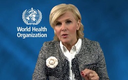 WHO: Làm việc hơn 55 giờ/tuần gây ra hàng trăm nghìn ca tử vong mỗi năm, nam giới chiếm 72%