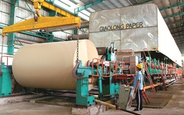 Quỹ Hàn Quốc trở thành cổ đông lớn tại Đông Hải Bến Tre (DHC)