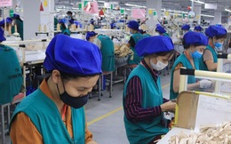 Sản lượng hàng hóa tại các KCN trọng điểm phía Bắc dự báo sụt giảm 50%