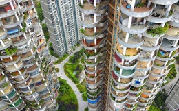 Vì sao giá nhà thế giới đã và sẽ vẫn tăng không ngừng?