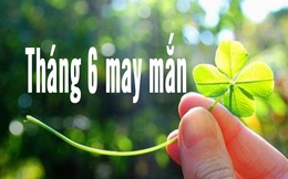 Tổng quan tháng 6 của 12 con giáp: Tuổi Ngọ được quý nhân giúp đỡ, tuổi Mùi giàu có bất ngờ, tình cảm rực rỡ, riêng 2 tuổi này cần cẩn trọng với tiền bạc