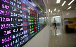 HoSE đề nghị các Công ty chứng khoán phối hợp quản lý sửa/hủy lệnh theo khung giờ