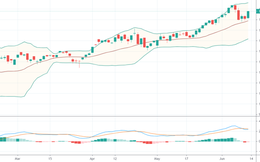 Xu thế dòng tiền: Bắt đáy cổ phiếu ngân hàng, điều chỉnh đã xong?