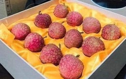 Siêu phẩm vải thiều Lục Ngạn Việt Nam: Đóng gói như tổ yến, 1 triệu đồng mới mua được 1 hộp 12 quả tại Nhật