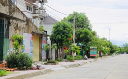 Bị phong tỏa, làng vịt nổi tiếng nhất Hà Tĩnh vắng khách ngày Tết Đoan Ngọ