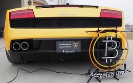 Đi tìm chàng trai mua ‘bò vàng’ bằng Bitcoin 8 năm trước