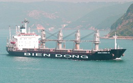 Ngân hàng rao bán khoản nợ 500 tỷ thế chấp bằng tàu biển, trụ sở công ty con Vinalines