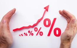 Giá hàng hóa từ đồng đến ngô đang hạ nhiệt, nỗi ám ảnh lạm phát đã chấm dứt?