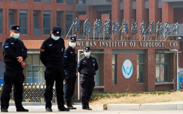 Nguồn gốc Covid-19: Thêm chi tiết mâu thuẫn về Viện Virus học Vũ Hán