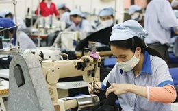 Dệt may Thành Công (TCM): Lợi nhuận tháng 5 sụt giảm, tăng tỷ trọng bán vải
