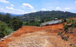 Lâm Đồng thu hồi 286ha đất tại dự án của Công ty Hàn Việt
