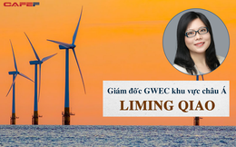 Giám đốc GWEC khu vực châu Á đề xuất cơ chế giá FIT mới cho điện gió để không gặp khó như điện mặt trời