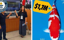 Gia đình vỡ nợ, chỉ để lại 3ha bể cá, tiểu thư giàu có quyết định bỏ học, ngủ 4 tiếng/ngày để giúp cha trả nợ và gây dựng lại cơ nghiệp từ cá Koi