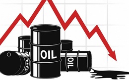 Nghịch lý: giá dầu cao nhất 2 năm, cổ phiếu dầu khí lại bất ngờ đỏ sàn