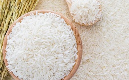 Giá gạo Châu Á lao dốc sau khi USDA công bố dự báo lạc quan về sản lượng và xuất khẩu gạo thế giới