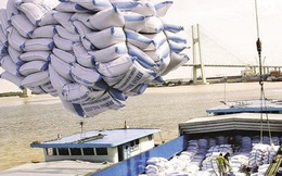 Lập đoàn công tác kiểm tra 5 doanh nghiệp xuất, nhập khẩu gạo