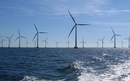 "Đại gia" điện gió lớn nhất thế giới muốn đầu tư điện gió ngoài khơi tại Việt Nam