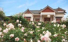 Cuộc sống an yên trong ngôi nhà có vườn hoa hồng quanh năm tỏa hương sắc của gia đình 3 thế hệ ở Ba Vì, Hà Nội