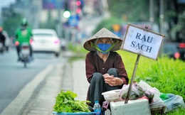 ILO: Khủng hoảng thiếu việc làm vì Covid-19 còn lâu mới kết thúc, người nghèo sẽ ngày càng nghèo thêm