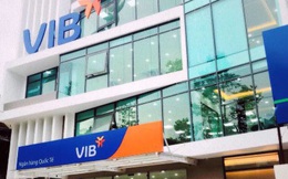 Vợ Phó Chủ tịch VIB đăng ký mua 2 triệu cổ phiếu