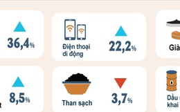 Tăng trưởng GDP 6 tháng đạt khoảng 5,8%