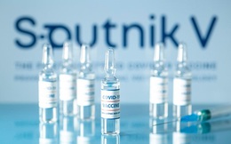 Chính phủ đồng ý cho Tập đoàn T&T đàm phán mua 40 triệu liều vaccine Sputnik của Nga