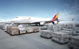 Chính phủ yêu cầu Bộ Giao thông ra báo cáo về hãng hàng không vận tải IPP Air Cargo giữa tháng 7 tới