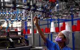 Tăng trưởng GDP Việt Nam nửa đầu năm đạt 5,64%, chuyên gia quốc tế nói gì?