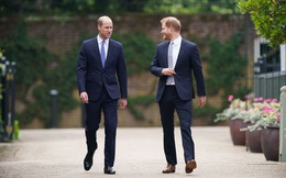Khoảnh khắc đặc biệt giữa Hoàng tử William và Harry "gây sốt MXH", dù thế nào họ vẫn là anh em một nhà