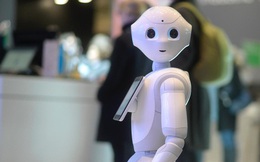 Từng lấy hàng loạt công việc của con người, giờ đây robot này liên tục bị sa thải vì khách hàng cần... con người
