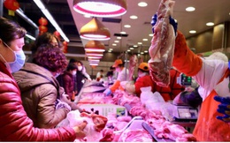 Trung Quốc cảnh báo các hộ nuôi lợn không đánh cược vào thị trường