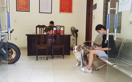 Cô gái Hà Nội bị phạt 2 triệu đồng vì dắt chó đi dạo