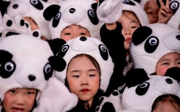 Pha "quay xe" thần tốc của Trung Quốc: Chỉ vài năm trước vẫn cấm sinh con thứ 2, giờ đã có thành phố phát tiền để khuyến khích đẻ