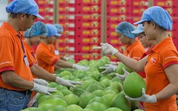 Bất chấp dịch bệnh, xuất khẩu nông sản tăng mạnh hướng đích 45 tỷ USD