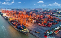 Giá cước vận tải biển tiếp tục leo thang, doanh nghiệp thuỷ sản đứng trước tình trạng thua lỗ trầm trọng