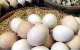 Vì sao giá trứng gà, vịt tăng tới 6.000 đồng/quả?