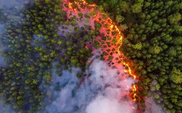 Cháy rừng khủng khiếp ở Siberia: Lớn hơn tất cả các đám cháy rừng trên thế giới cộng lại - Lập kỷ lục tồi tệ!
