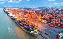 VDSC: Đơn hàng xuất khẩu phục hồi sẽ dẫn dắt tăng trưởng lưu lượng hàng hóa thông qua các cảng biển