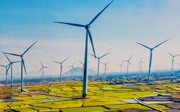 Điểm lại hơn 80 dự án điện gió từ Bình Thuận, Lâm Đồng, Cà Mau... trước nguy cơ không kịp hưởng giá ưu đãi trong chưa đầy 3 tháng tới