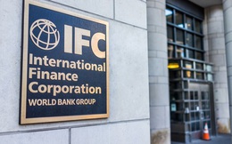 IFC công bố tân Giám đốc khu vực Đông Á và Thái Bình Dương, cam kết 1,9 tỷ USD ứng phó Covid-19