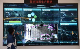Nuôi lợn ở Trung Quốc: Lợn ở trong "khách sạn" 13 tầng, hệ thống kiểm soát nhiệt độ và độ ẩm tự động, kiểm soát ra vào nghiêm ngặt